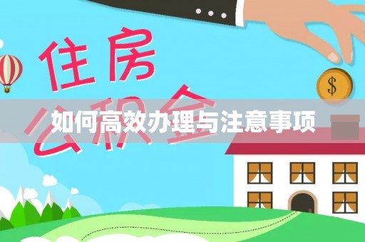 寮步如何高效办理与注意事项
