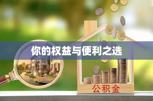 寮步你的权益与便利之选