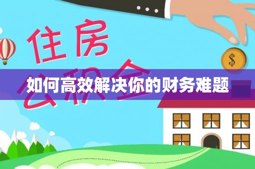 寮步如何高效解决你的财务难题