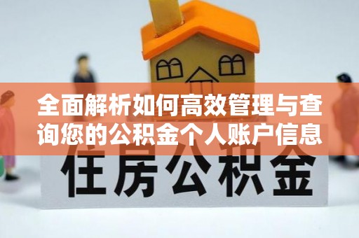 寮步全面解析如何高效管理与查询您的公积金个人账户信息
