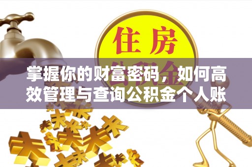寮步掌握你的财富密码，如何高效管理与查询公积金个人账户信息