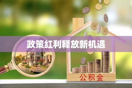 寮步政策红利释放新机遇
