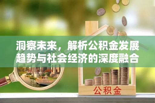 寮步洞察未来，解析公积金发展趋势与社会经济的深度融合