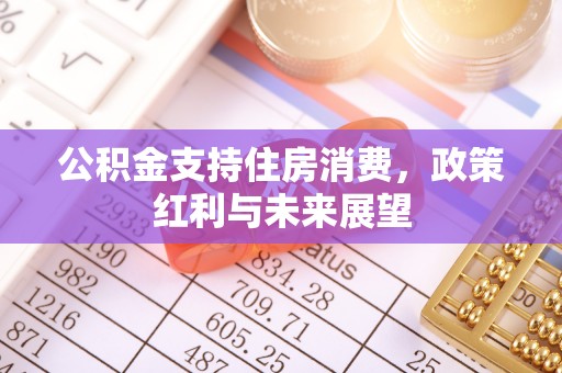寮步公积金支持住房消费，政策红利与未来展望