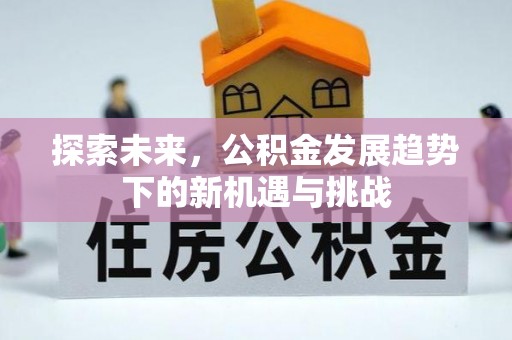 寮步探索未来，公积金发展趋势下的新机遇与挑战