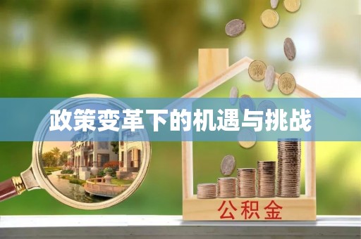 寮步政策变革下的机遇与挑战