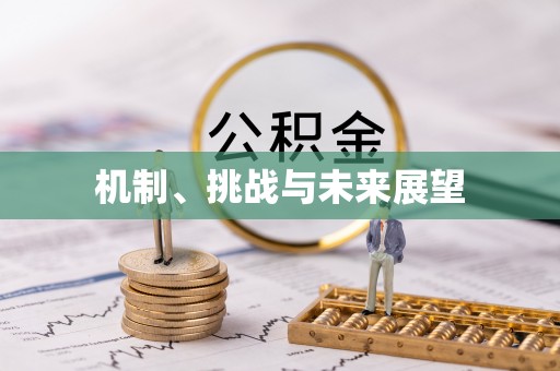寮步机制、挑战与未来展望